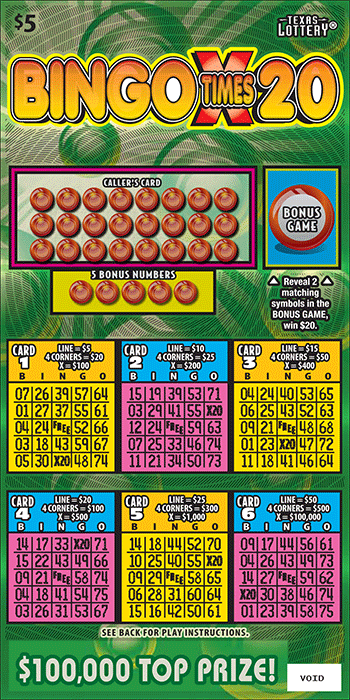 $5 Bingo X 20 - #2667